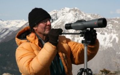 Golden Eagle Watch with Peter Sherrington